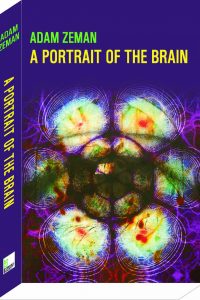 A portrait of the brain